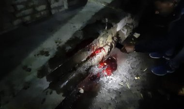 वाराणसी में बदमाश हुए बेखौफ