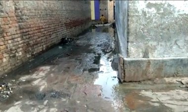 आखिर कौन सुनेगा जीवधीपुर हरजन बस्ती के पास का दर्द,हर बरसात में नाली के पानी बहता है लबालब...