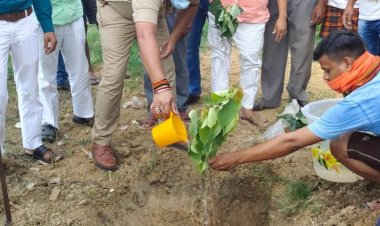 विश्व पर्यावरण दिवस पर थानाध्यक्ष बबुरी ने किया पौधारोपण...