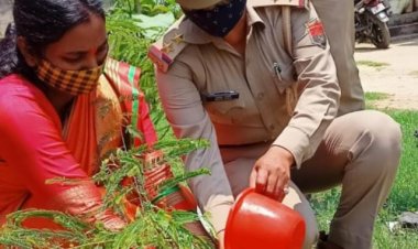 सब इंस्पेक्टर शशी सिंह ने विश्व पर्यावरण दिवस पर किया पौधारोपण...