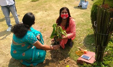 तेजस्वी सेवा फाउंडेशन द्वारा विश्व पर्यावरण दिवस पर किया पौधारोपण...