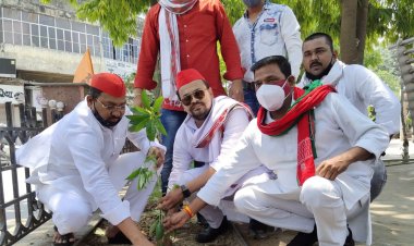 पौधरोपण कर लोगों से की अपील हर व्यक्ति लगाएं एक पौधे...