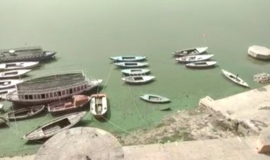 रेती पर हो रहे निर्माण को लेकर एनजीटी में याचिका दायर...