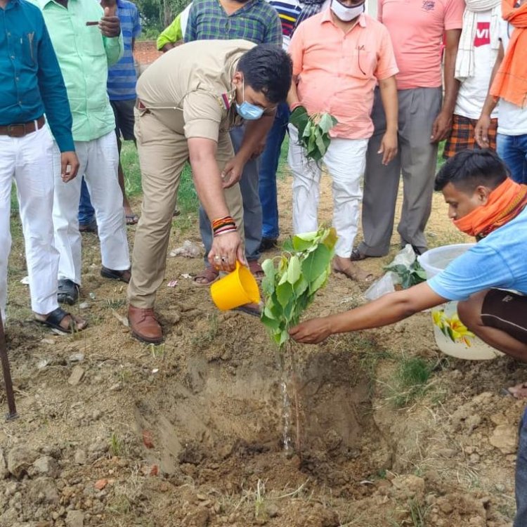 विश्व पर्यावरण दिवस पर थानाध्यक्ष बबुरी ने किया पौधारोपण...