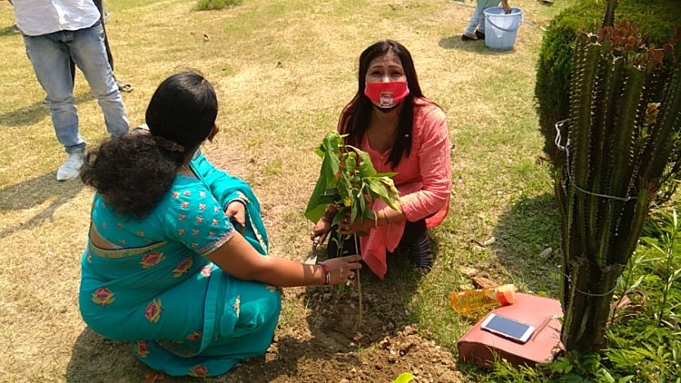 तेजस्वी सेवा फाउंडेशन द्वारा विश्व पर्यावरण दिवस पर किया पौधारोपण...