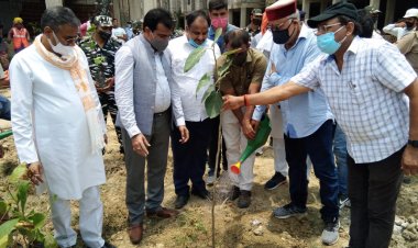 पौधरोपण कर दी गई महान अभिनेता दिलीप कुमार को श्रद्धांजलि...        