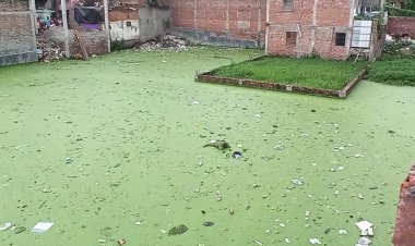 पोखरें में उतराया शव मिला, पुलिस ने शव निकलवाया...