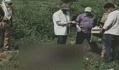 झाड़ी में मिला अज्ञात युवक का शव,पुलिस शिनाख्त में जुटी,हत्या की आशंका