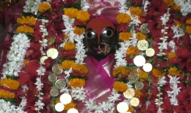 नवरात्रि के अंतिम दिन माँ सिद्धिदात्री के दर्शन...