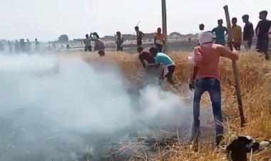 शार्ट सर्किट से फसल में लगी आग...