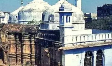 कोर्ट ने सर्वे पर दिया आदेश हर हाल में पूरा हो सर्वे का काम...