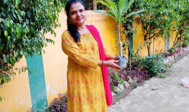 विश्व पर्यावरण दिवस...