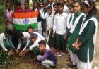 आजादी के अमृत महोत्सव में तिरंगा लेकर छात्रों ने रोपा नारियल...