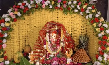 गणपति बप्पा मोरिया के साथ विराजमान हुए भगवान श्री गणेश...