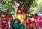 Varanasi:BHU में पीपल-बरगद में सूत बांधने पर विवाद?सामने आया विद्वत परिषद,बोले ये सनातन पर आघात