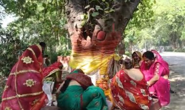 Varanasi:BHU में पीपल-बरगद में सूत बांधने पर विवाद?सामने आया विद्वत परिषद,बोले ये सनातन पर आघात